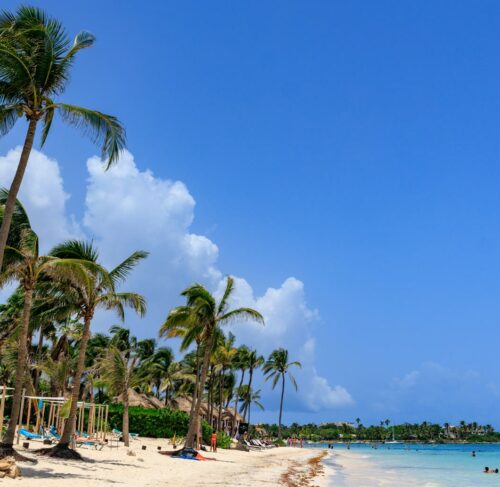 Sandy beach with palm trees and turquoise Caribbean water at Akumal, Quintana Roo