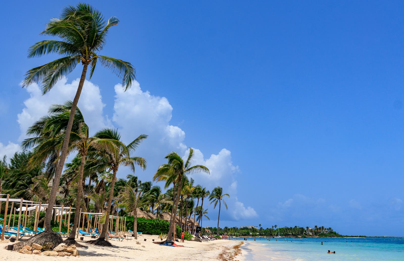 Sandy beach with palm trees and turquoise Caribbean water at Akumal, Quintana Roo