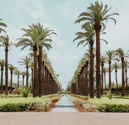 Fountain surrounded by palm trees in Casablanca Morocco with modern buildings