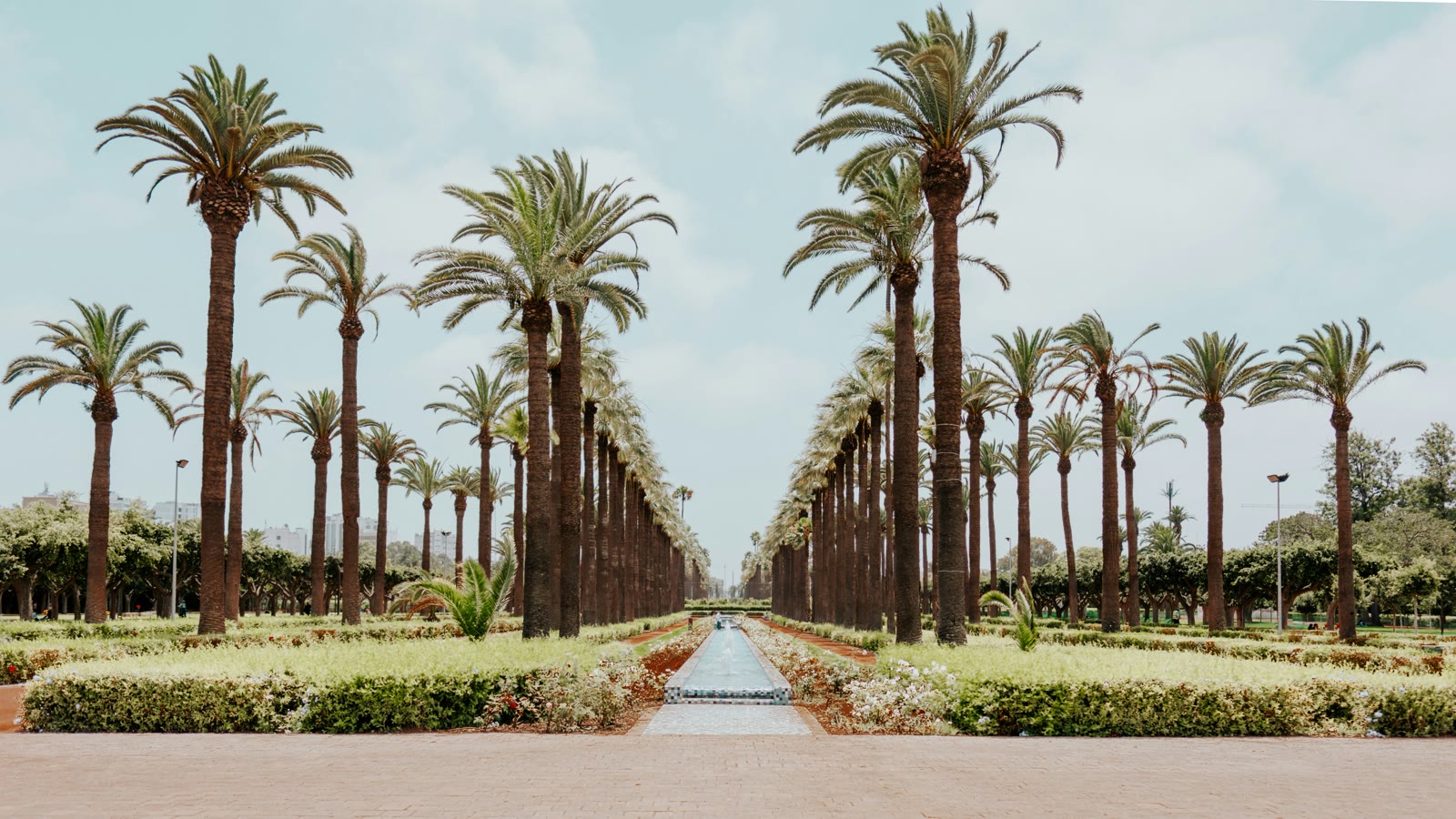 Fountain surrounded by palm trees in Casablanca Morocco with modern buildings