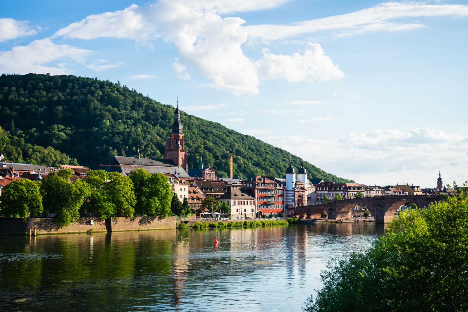 Heidelberg Castle and Old Bridge over the Neckar River with historic old town and forested hills, Baden-Württemberg, Germany