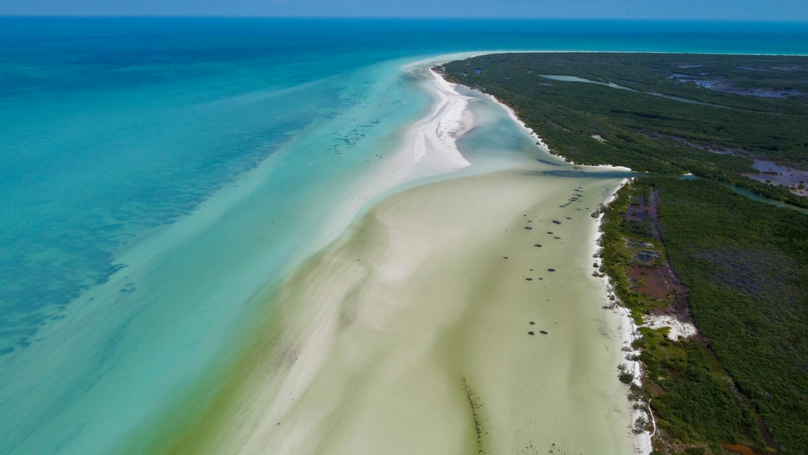Aerial view of Holbox island beach and turquoise Caribbean waters, Quintana Roo