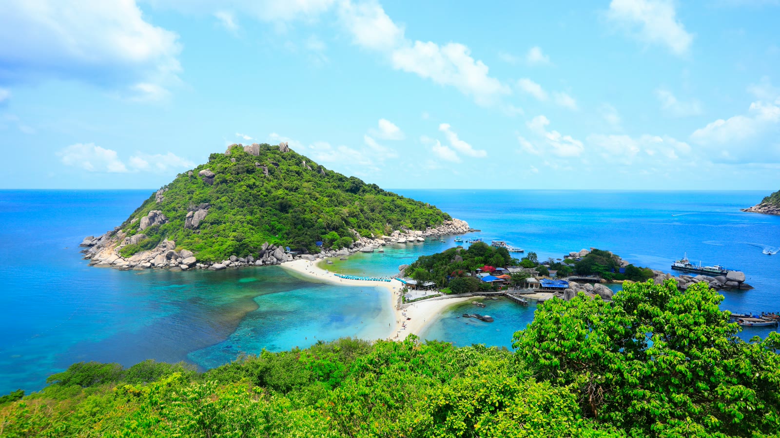Tropical island scene on Koh Samui with green palm trees, blue sky, and crystal-clear water