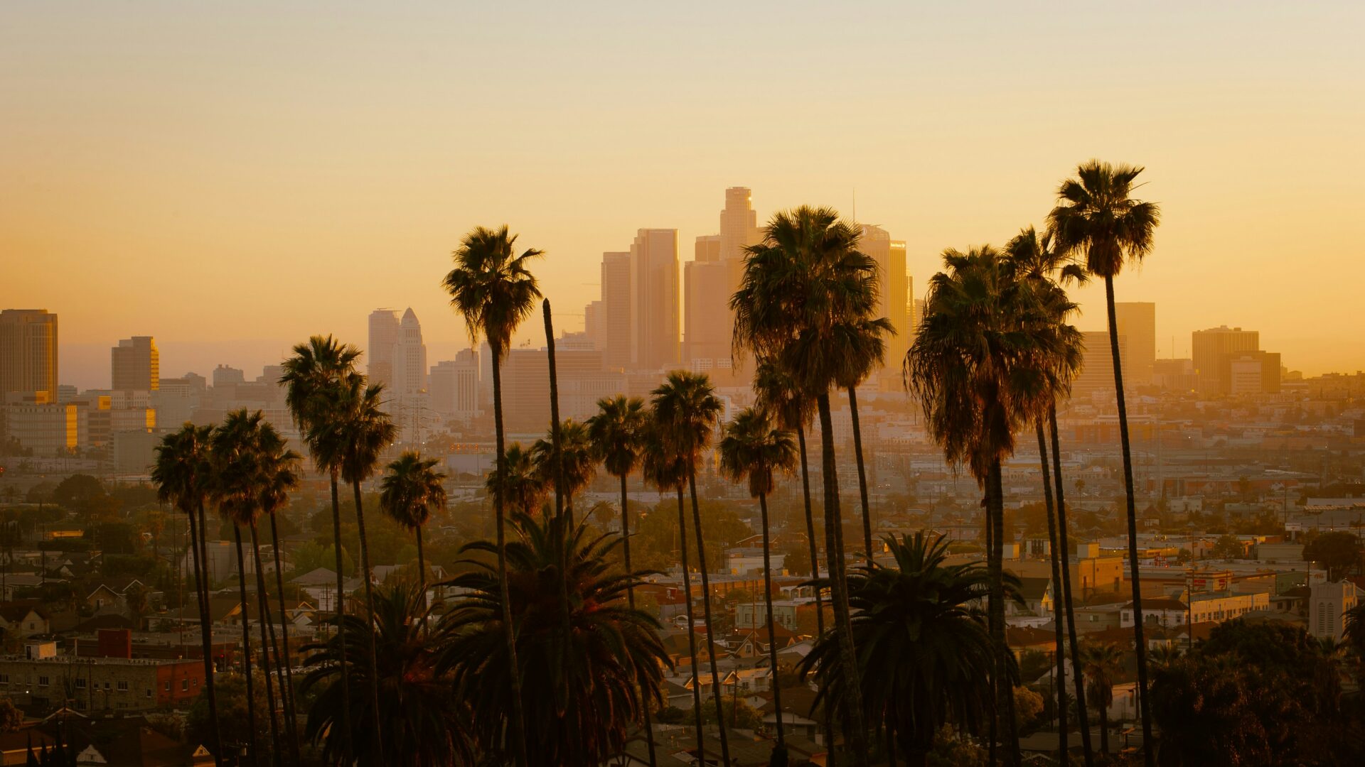 Los Angeles skyline with iconic palm trees and city buildings under blue sky