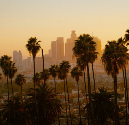 Los Angeles skyline with iconic palm trees and city buildings under blue sky
