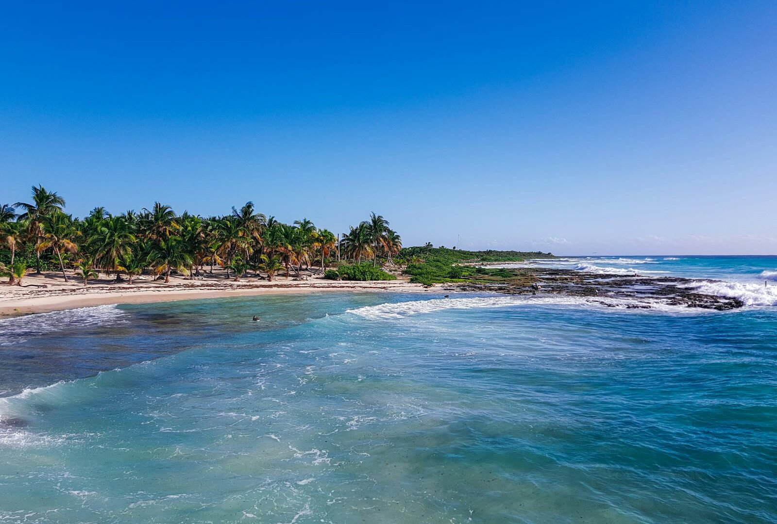 Green palm trees along the Caribbean shoreline at Mahahual beach, Quintana Roo