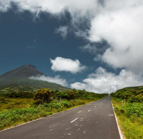 Pico