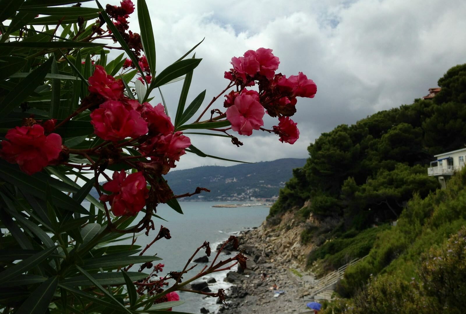 View of Savona and the Ligurian Sea from the hillside, Italy