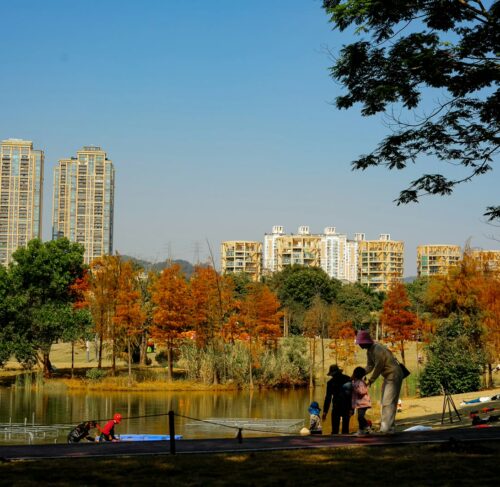 Shenzhen city park with lake, modern skyline and people relaxing in Guangdong China