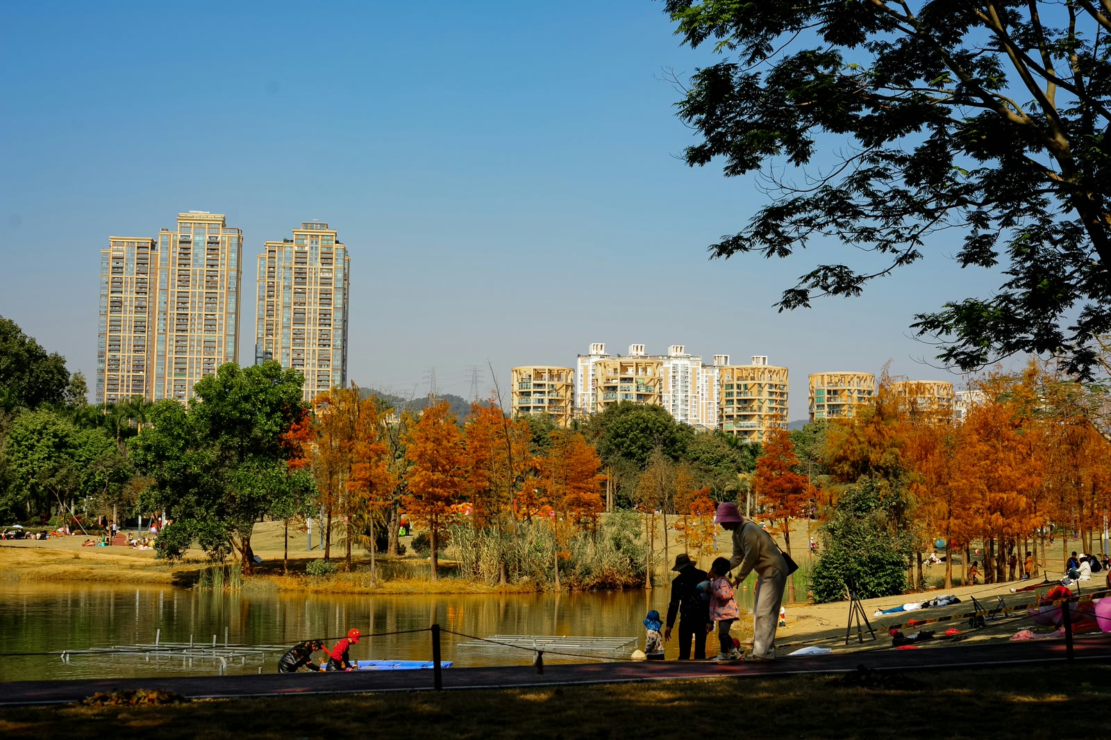 Shenzhen city park with lake, modern skyline and people relaxing in Guangdong China