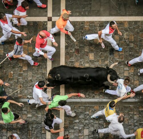Bull statue in the street of Pamplona, Navarre, Spain