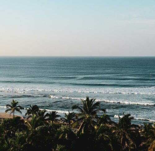 Beach with palm trees and ocean view in Acapulco, Guerrero, Mexico