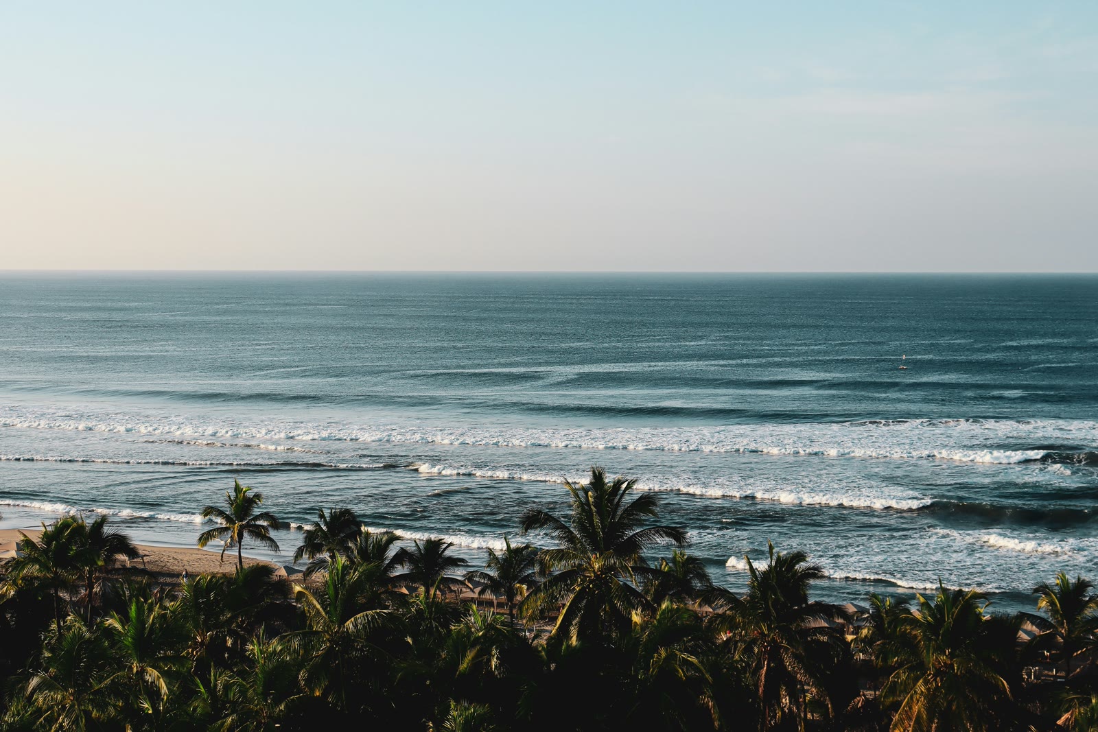 Beach with palm trees and ocean view in Acapulco, Guerrero, Mexico