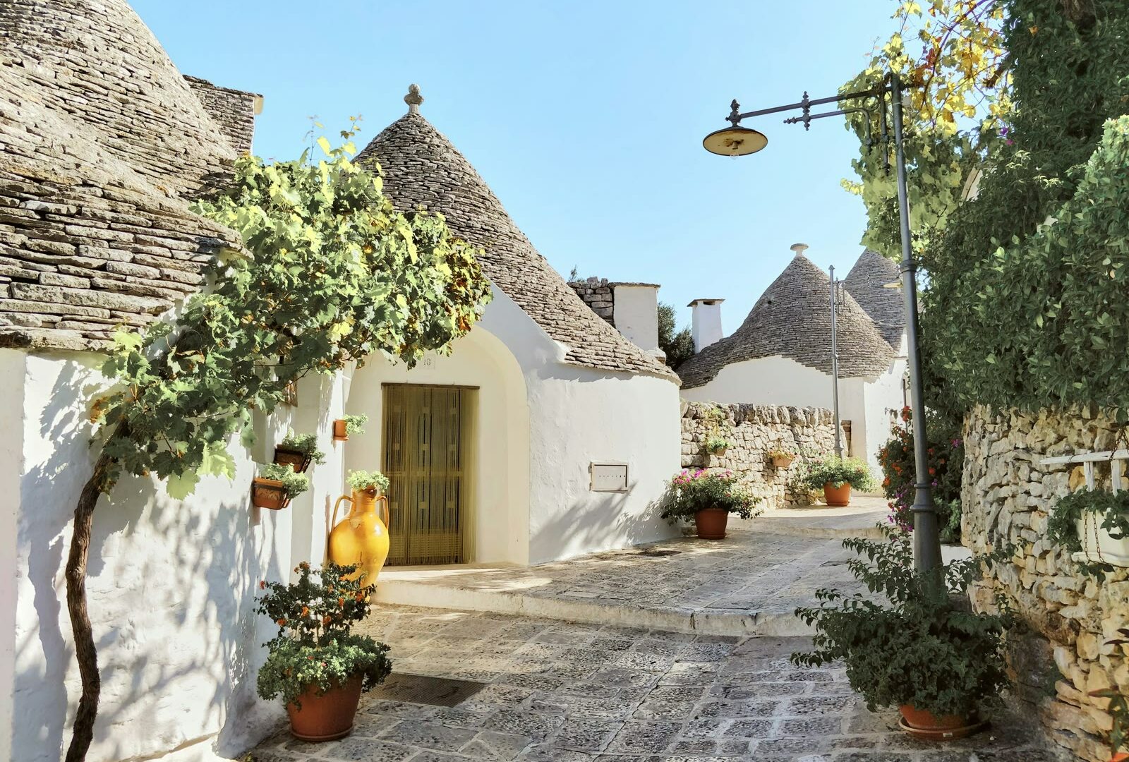 Green tree near white trullo houses in Alberobello, Apulia, Italy