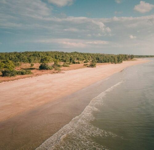 Sandy beach with trees along the shore in Darwin, Northern Territory, Australia