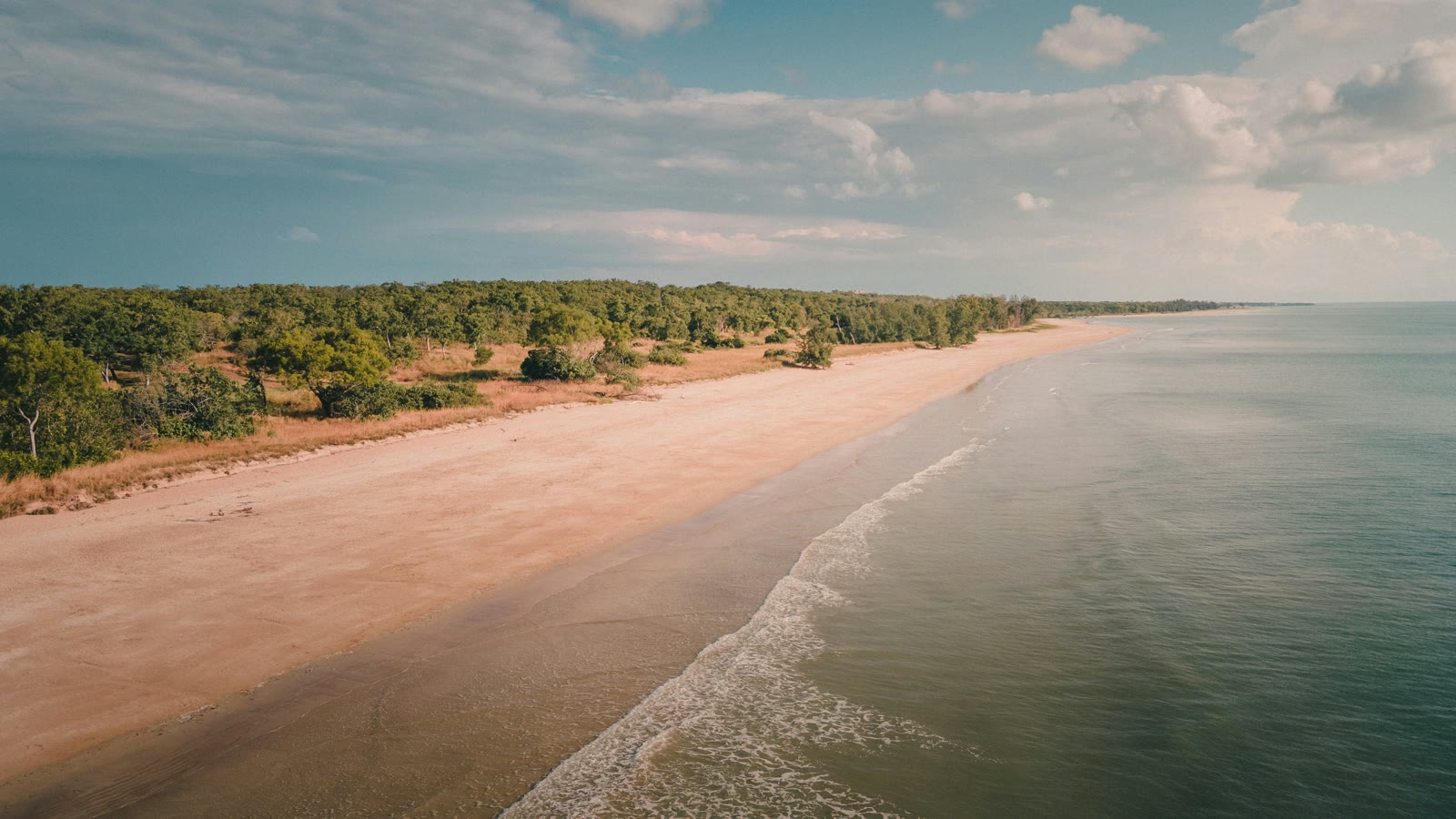 Sandy beach with trees along the shore in Darwin, Northern Territory, Australia