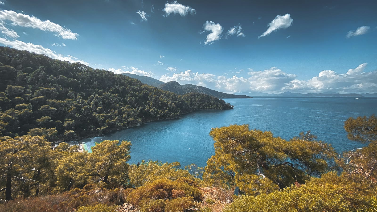 Panoramic view of a lake surrounded by trees in Fethiye, Mugla, Turkey