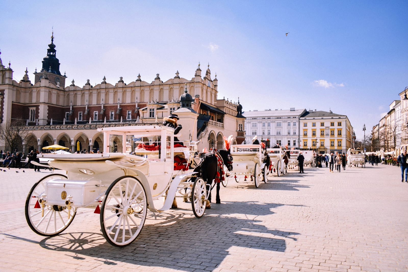 Black horses with carriage in Krakow, Lesser Poland, Poland