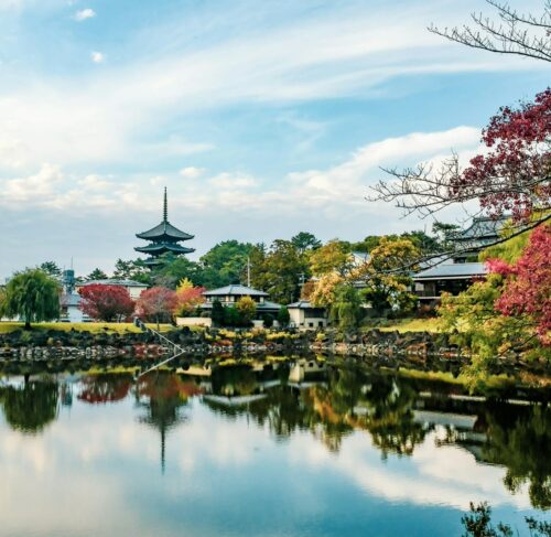 Temple reflected in pond surrounded by green trees under blue sky in Nara Park, Nara, Japan