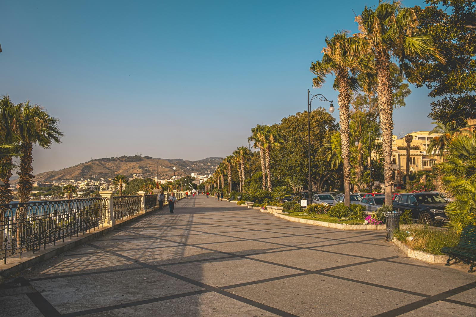 Street with palm trees in Reggio Calabria, Calabria, Italy