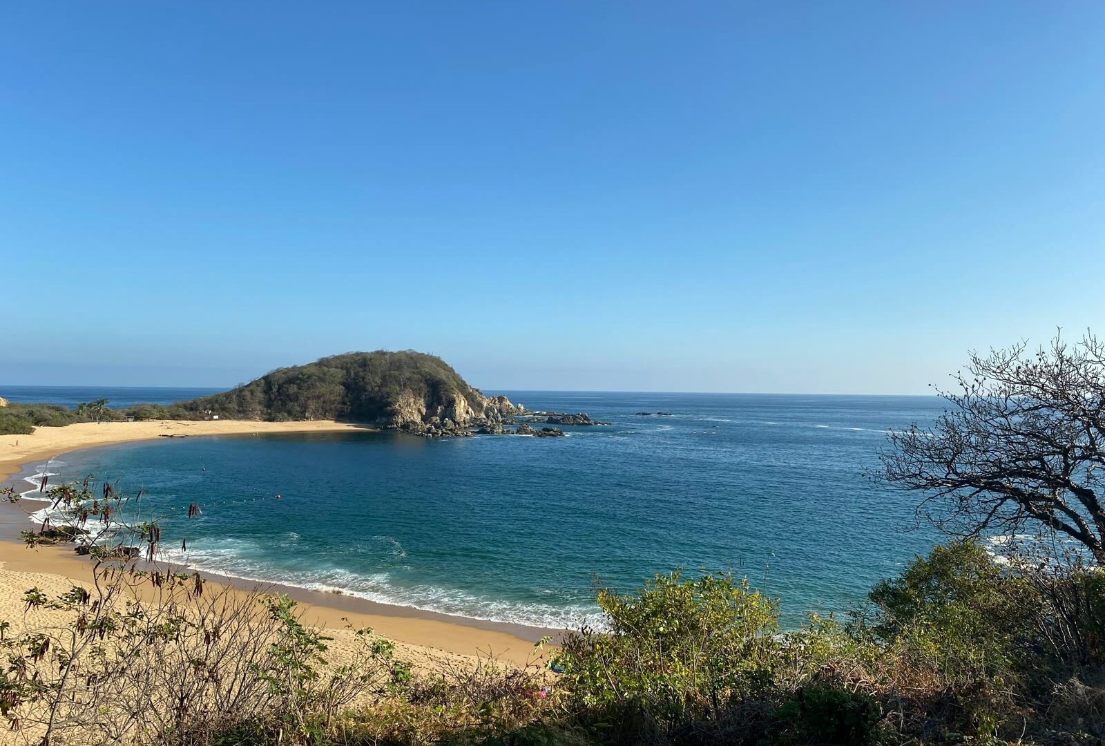 Green trees on a sandy beach in Huatulco, Oaxaca, Mexico