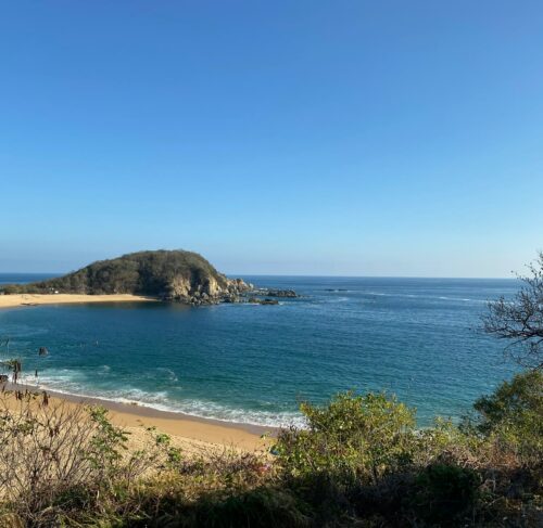 Green trees on a sandy beach in Huatulco, Oaxaca, Mexico