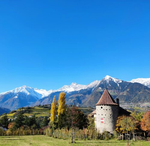 Castle in a field with mountains in background in Merano, Trentino-Alto Adige, Italy