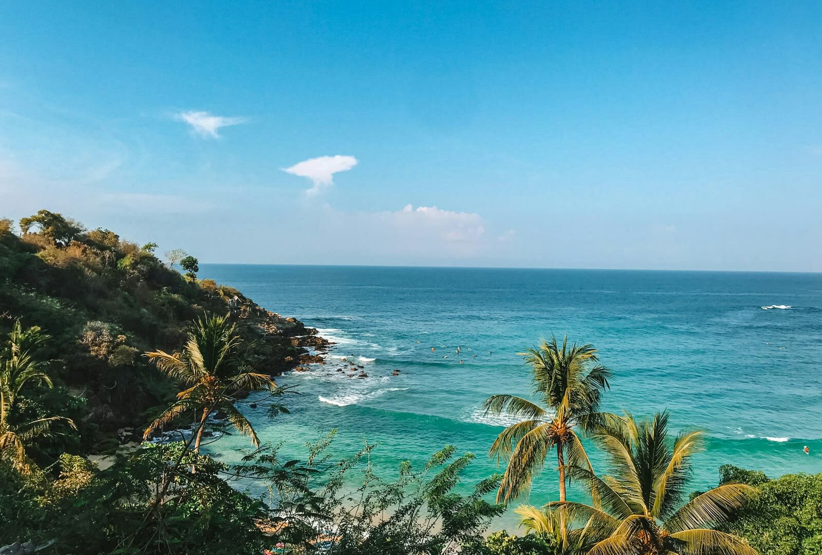 Green palm tree near the sea under blue sky in Puerto Escondido, Oaxaca, Mexico