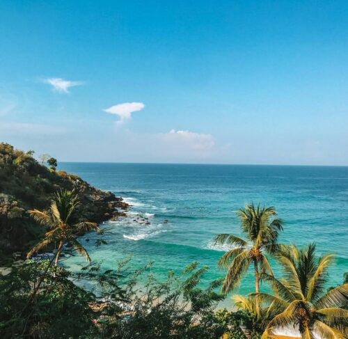 Green palm tree near the sea under blue sky in Puerto Escondido, Oaxaca, Mexico