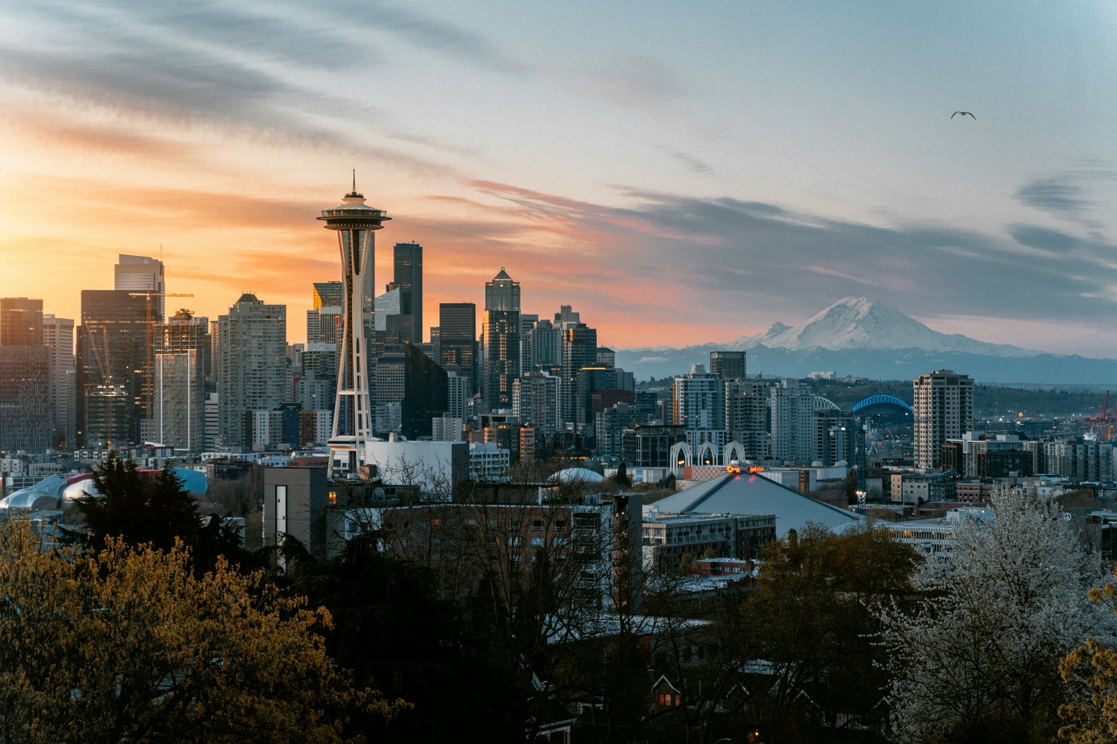 High-rise buildings in Seattle, Washington, United States