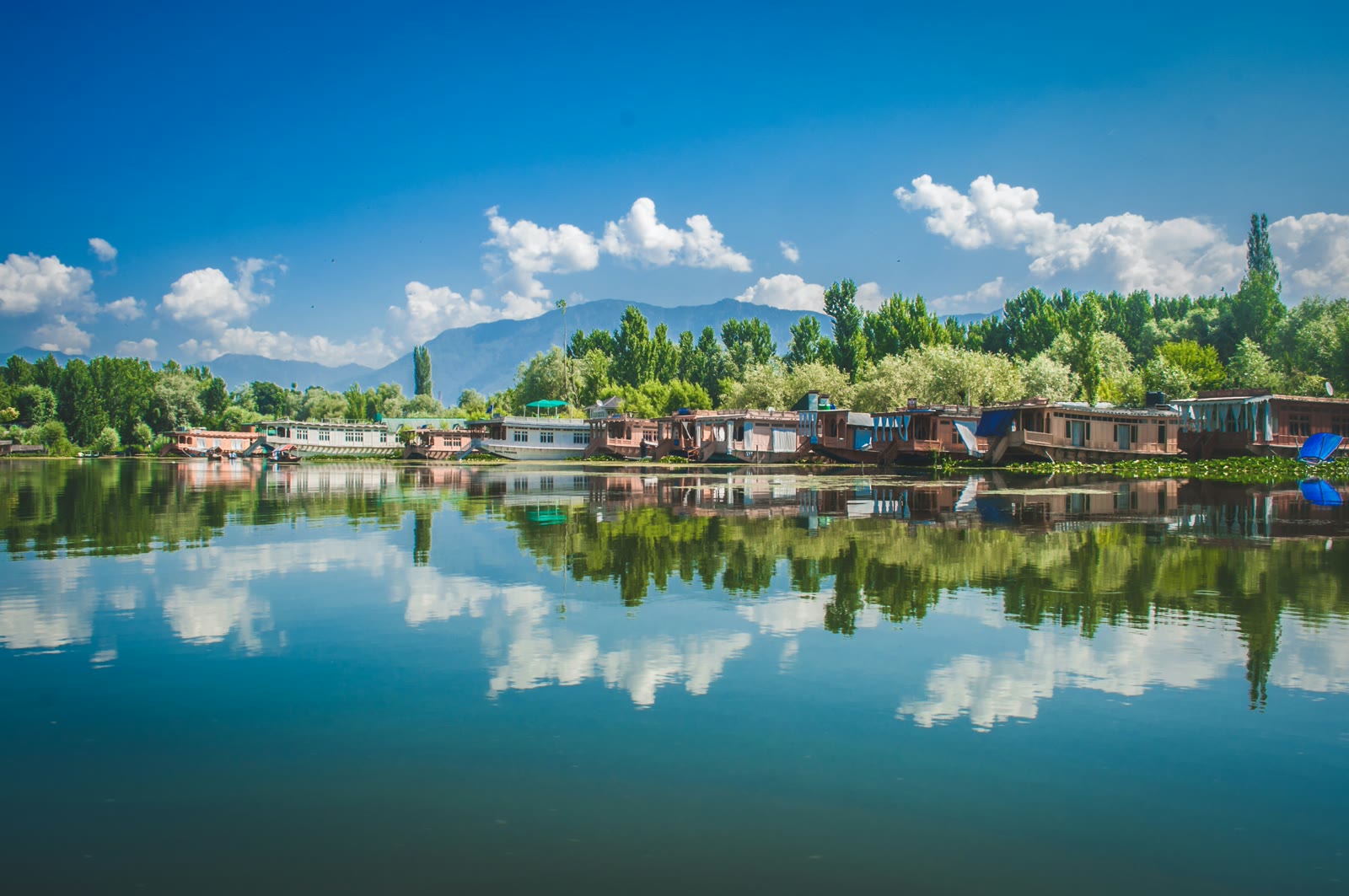 Wooden houses near water under blue sky in Srinagar, Jammu and Kashmir, India