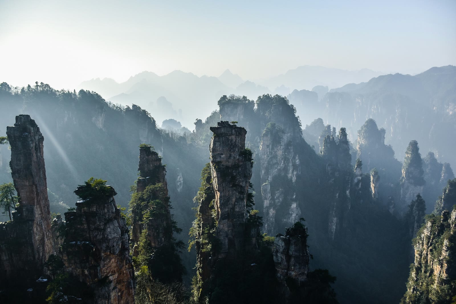 Grey rock formations in Zhangjiajie, Hunan, China