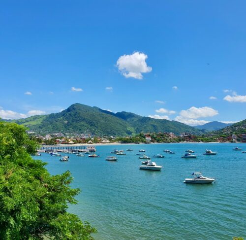 Water full of boats in Zihuatanejo, Guerrero, Mexico