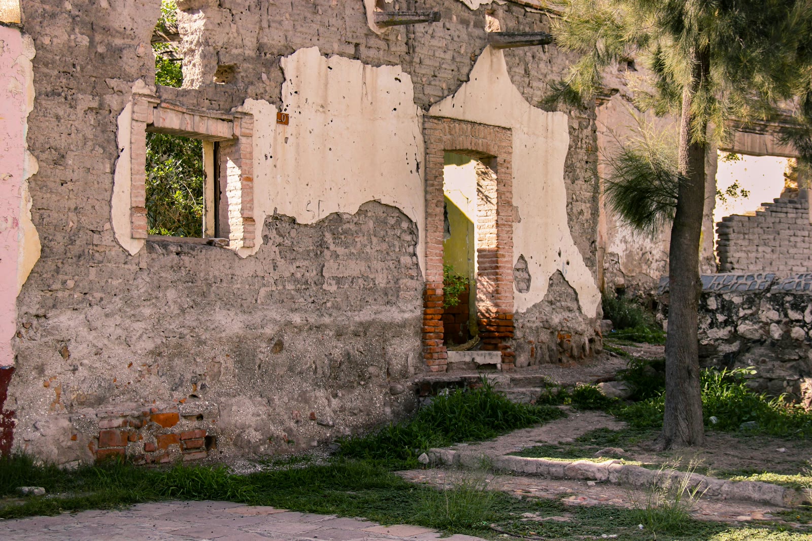 Old building with a tree in front in Aguascalientes, Mexico