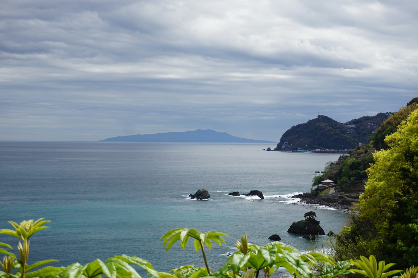 Body of water surrounded by lush green trees in Atami, Shizuoka, Japan