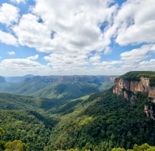 Trees on a mountain under cloudy sky in the Blue Mountains, New South Wales, Australia