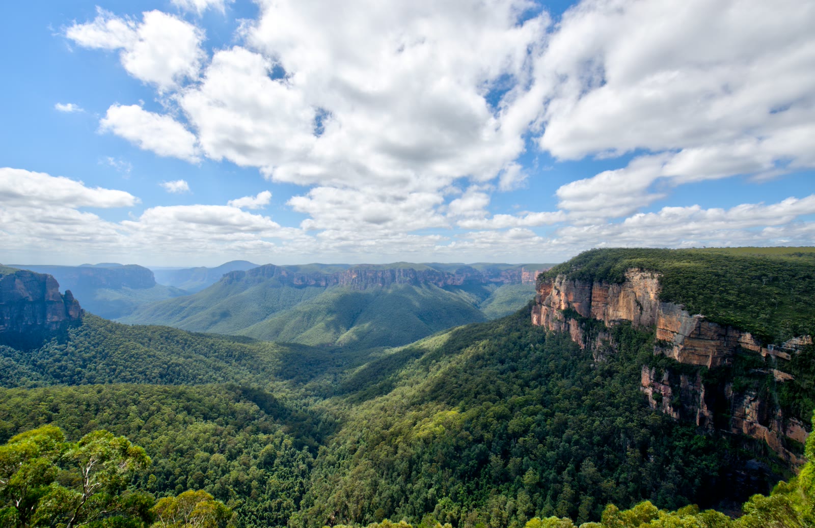 Trees on a mountain under cloudy sky in the Blue Mountains, New South Wales, Australia