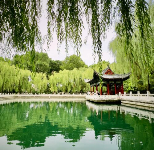 Pond with a pavilion in the centre in Jinan, Shandong, China