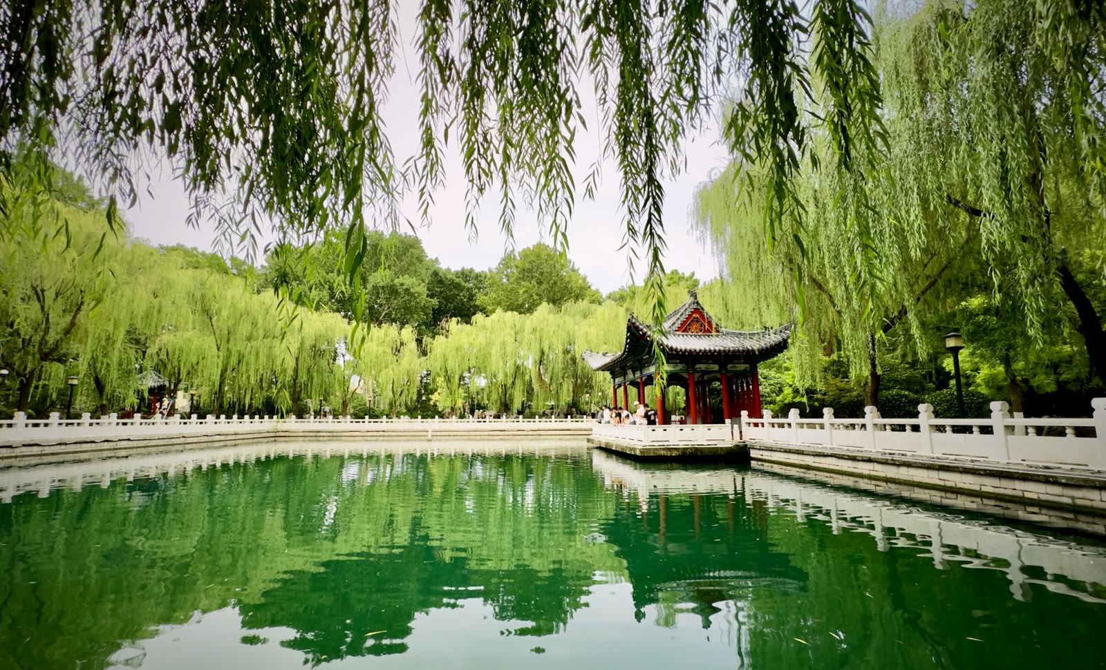 Pond with a pavilion in the centre in Jinan, Shandong, China