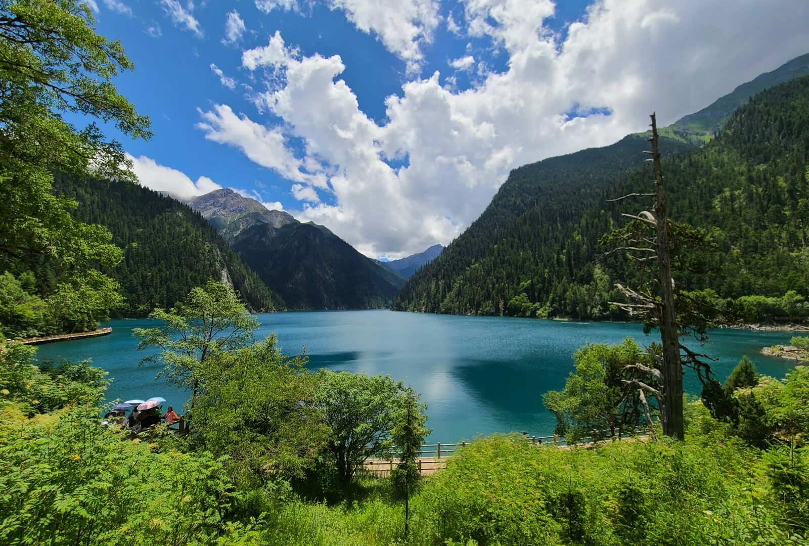Turquoise lake surrounded by forested mountains in Jiuzhaigou Valley, Sichuan, China