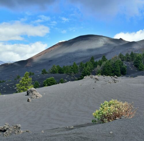 Mountain range with trees in the foreground in La Palma, Canary Islands, Spain