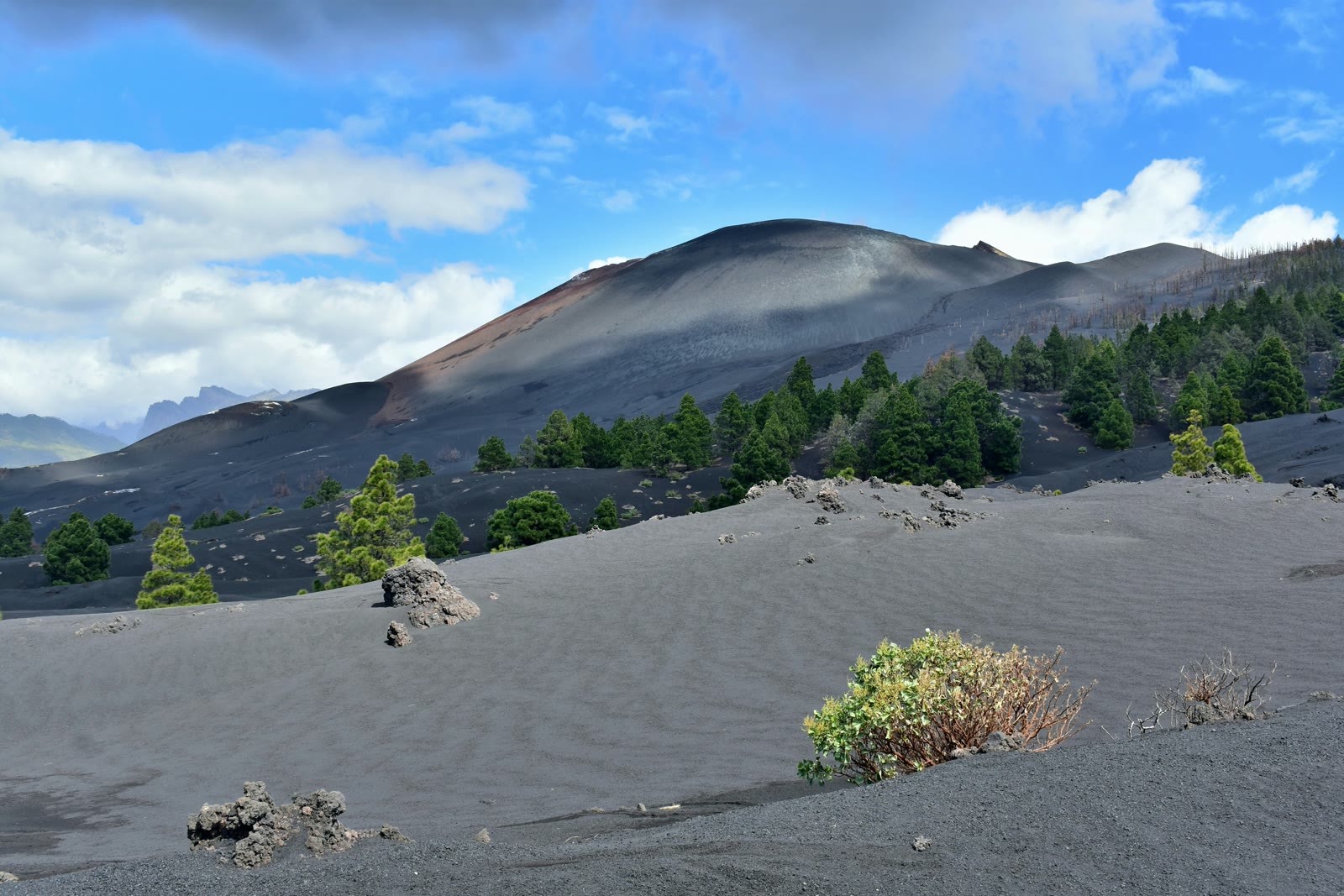 Mountain range with trees in the foreground in La Palma, Canary Islands, Spain