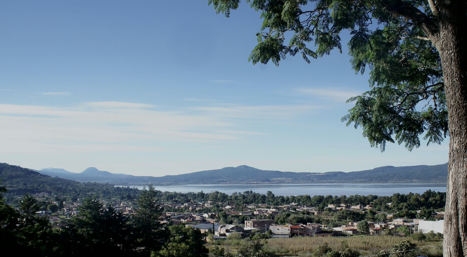 Green trees near city buildings under blue sky in Pátzcuaro, Michoacán, Mexico