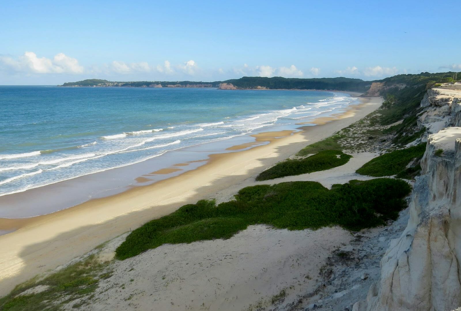 Green grass on the seashore in Pipa, Rio Grande do Norte, Brazil